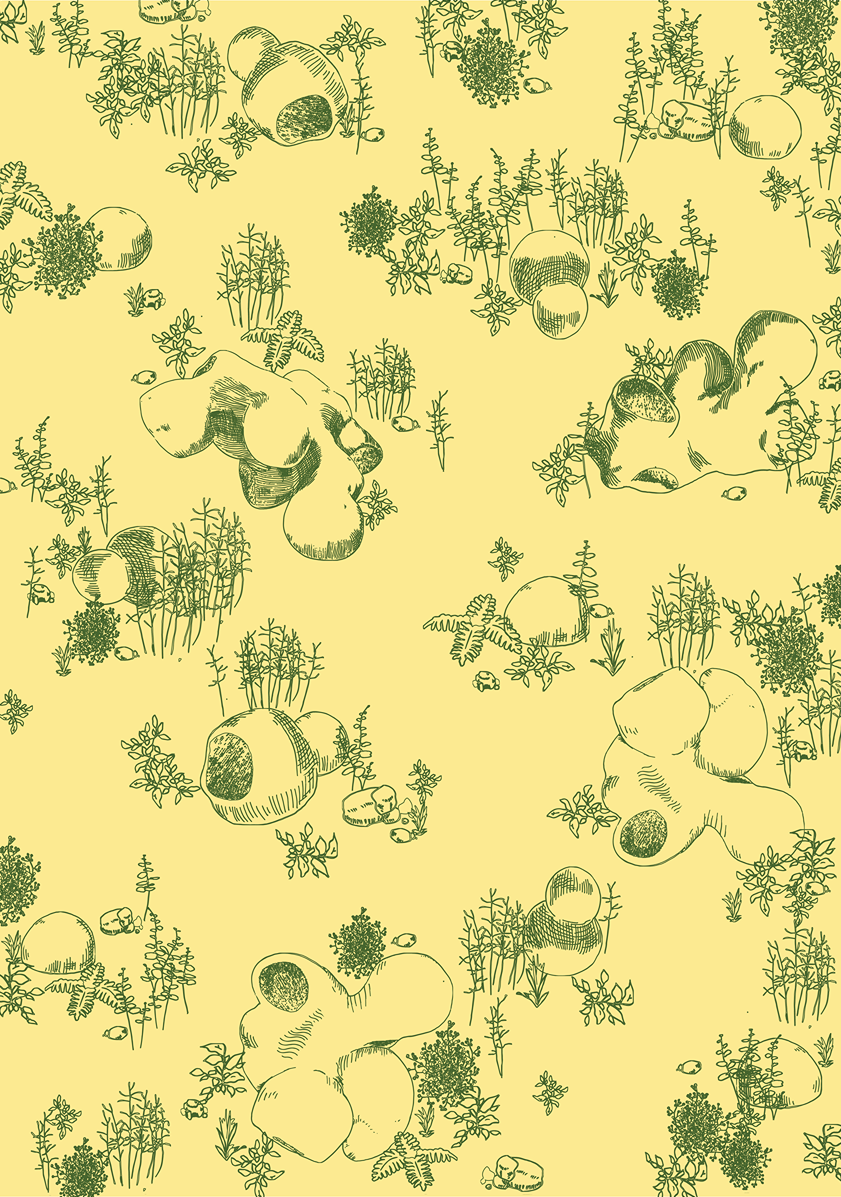Motif dessiné au trait vert kaki sur fond jaune moutarde, végétaux et structures molles
